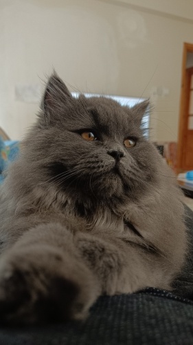 6aylık oğluma Yuva arıyoruz fotoğraf