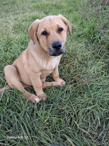 Onun gidecek yeri yok… fotoğraf