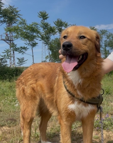 Dünya güzeli Kaju yuvasını arıyor fotoğraf