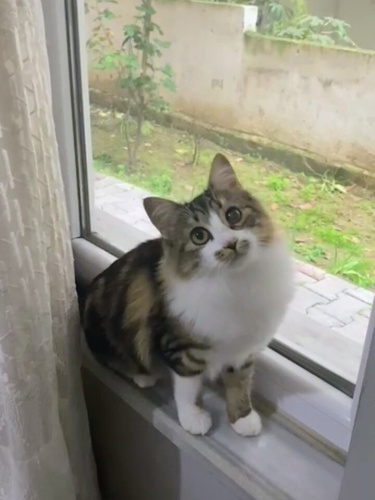 Tek gözü puslu engelliye öncelik fotoğraf