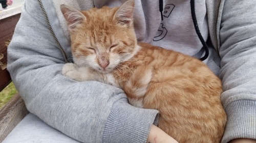 Muzlu Gofrete yuva arıyoruz 🥹 fotoğraf