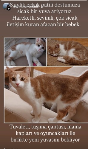 Sevgi mutlusu, oyuncu, sıcak kanlı erkek minik fotoğraf