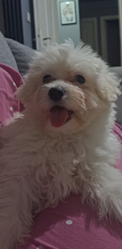 Ücretsiz yuva ariyoruz kizama fotoğraf