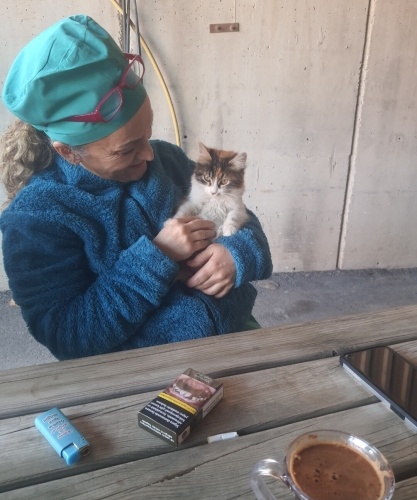 KISIRLAŞTIRMASI BİZE AİT‼️VETERİNERDEN ‼️ fotoğraf