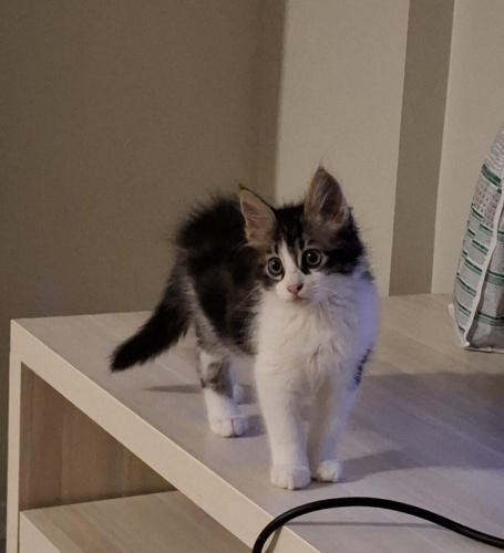 Ona evinizi kalbinizi acin fotoğraf