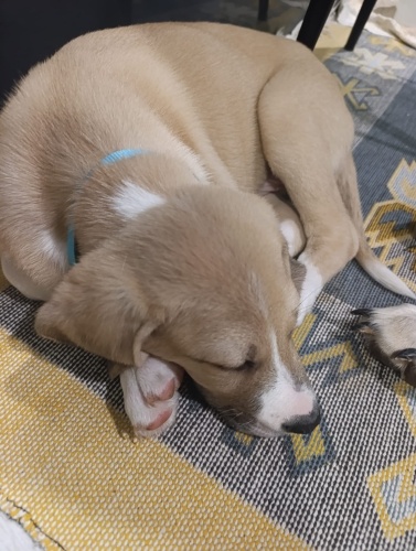 Açıklamayı okuyun fotoğraf