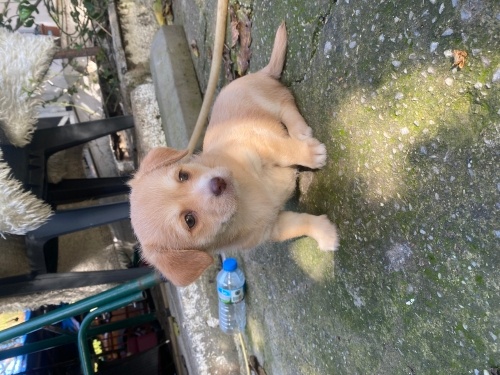 Gelecekleri olun fotoğraf