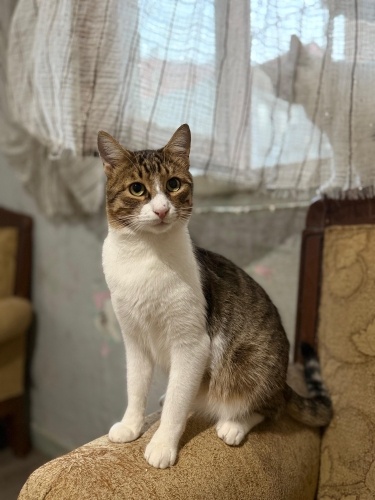 İSMİ: NOHUT🫶🏼CAN ÖTESİ ❤️ fotoğraf