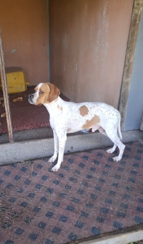 SEVGİSİNİ PAYLAŞACAK AİLE İSTİYOR fotoğraf