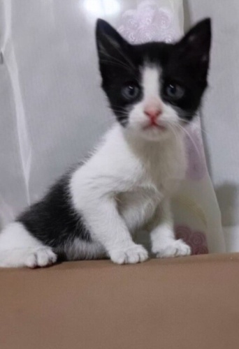 BARINAĞA VERİLECEKLER ACİİLL ‼️ fotoğraf