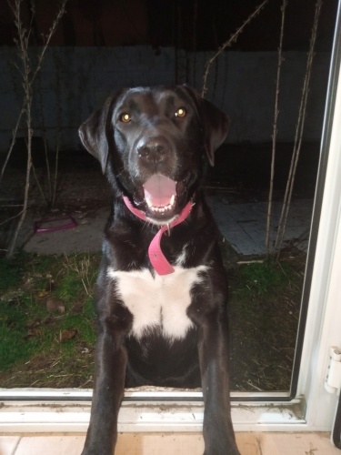 Ömür törpüsü kız fotoğraf