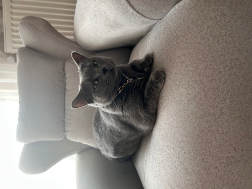 Ömürlük Yuva Arıyoruz fotoğraf