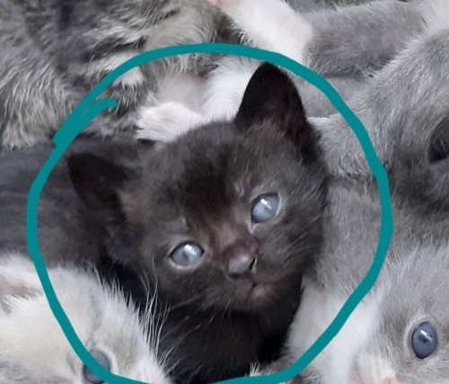 ÇOK TATLIŞ BİR BEBEK fotoğraf