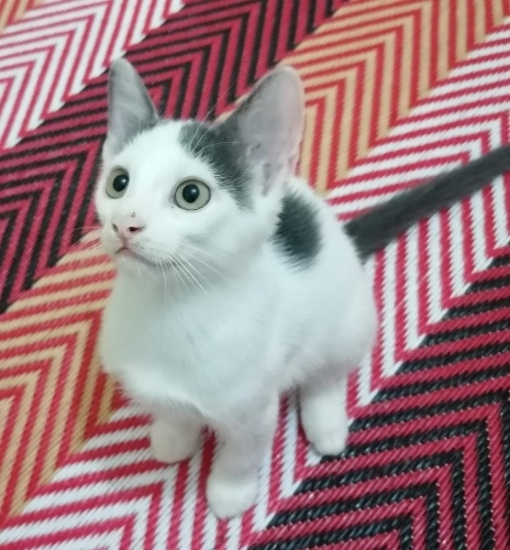 Oğluma mutlu ve güvende olabileceği sıcak bir yuva arıyorum. fotoğraf