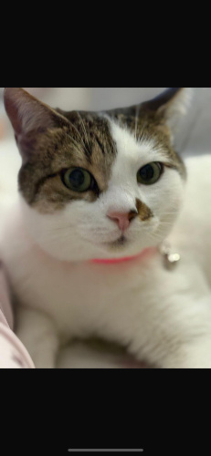 Acil yuva Yuva yoksa sokaga atılacak. Esyalarıyla birkikye sahiplendirilecek fotoğraf