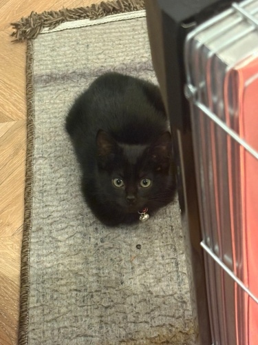 Açıklamayı okuyunuz fotoğraf