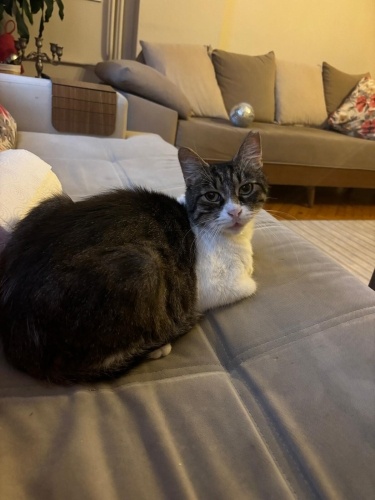 🏠 HİKAYESİ MUTLU BİTSİN MAX Kızın...OKUMADAN Geçmeyin lütfen...🙏💔 fotoğraf