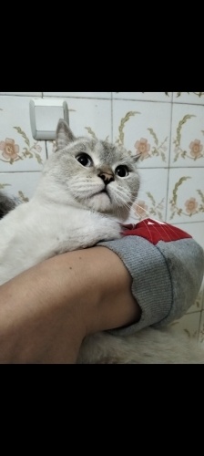 Tam bir prenses fotoğraf