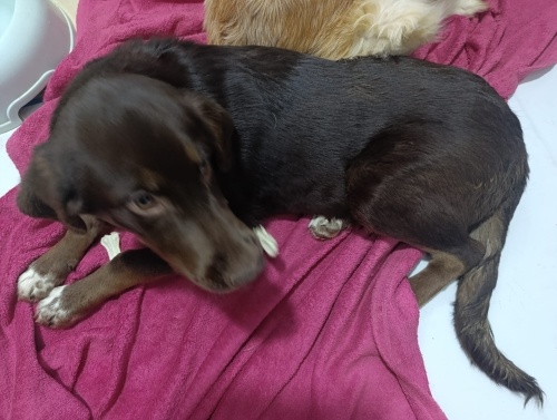 Açıklamayı okuyun fotoğraf