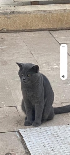 Açıllamayı okuyunuz fotoğraf