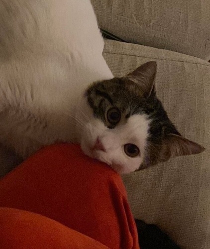 Bir Günü Var, Lütfen Şans Verin fotoğraf