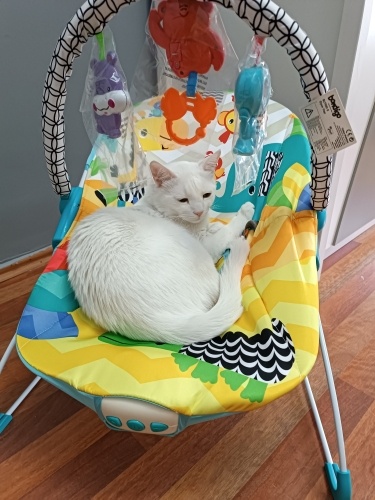 Casper terkedilmiş evlat yerine koyabilecek bilinçli yuva aranıyor fotoğraf