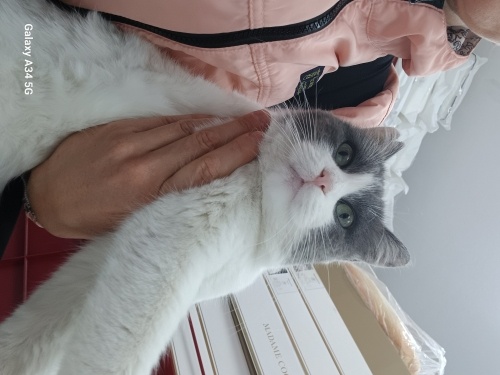 Evden Atilmis Acil fotoğraf