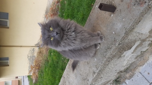 Gölgeye yuva arıyoruz! fotoğraf