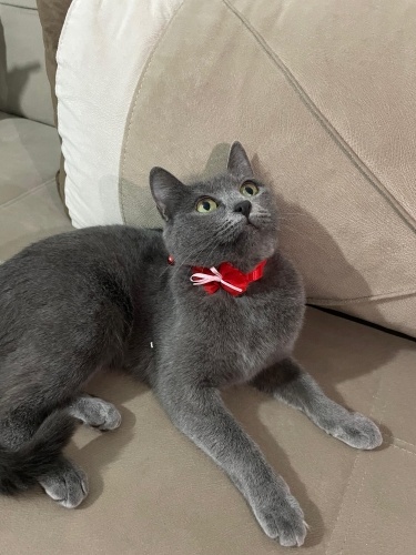 ACİL ANKARA YUVA fotoğraf