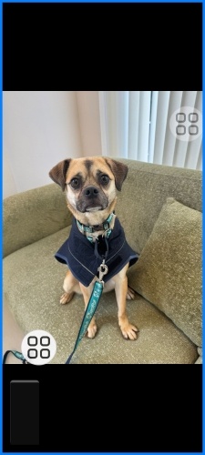 Jazy acil yuva ariyoruz fotoğraf