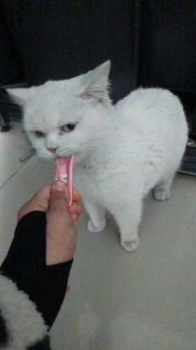 Sessiz meleğimin sesini kalbinde duyacak bir yuva fotoğraf