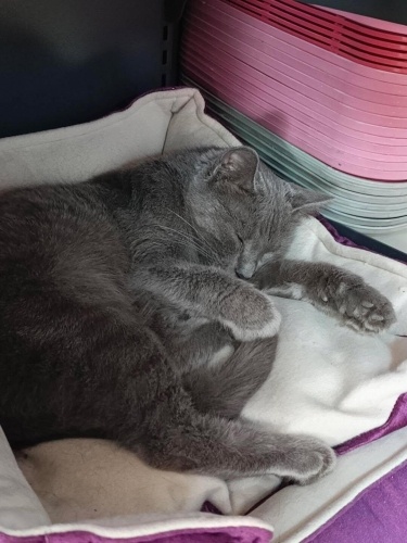 Yuva dedi önlem alınmadığı yuvadan düştü sonra bir hiç gibi ortada bırakıldığ fotoğraf