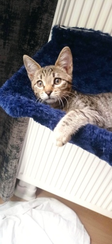 UYSAL, CANA YAKIN, TERTEMİZ fotoğraf