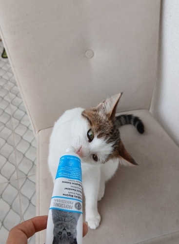 İnsan canlısı yavru fotoğraf