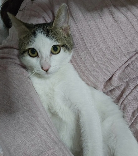 Oyun delisi bir bebek fotoğraf