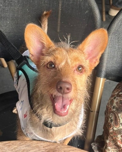 Annesi vefat etti acil yuva fotoğraf