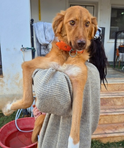 Açıklamayı okuyunuz fotoğraf