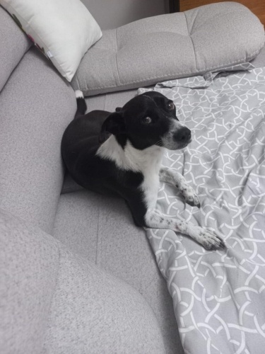 Açıklamayı okuyunuz fotoğraf