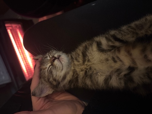 acill yuva arıyoruz fotoğraf