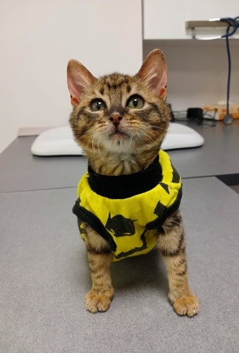 Hikayesini okurmusunuz minik oglumuzun fotoğraf