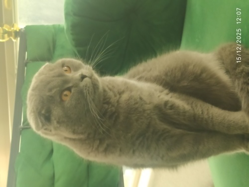 Diyarbakır merkez fotoğraf