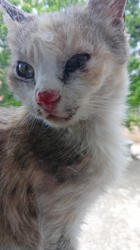 Bir Hayat Kurtar fotoğraf