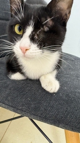 Sokakta yapamaz çok acil lütfen whatsapptan ulaşın fotoğraf