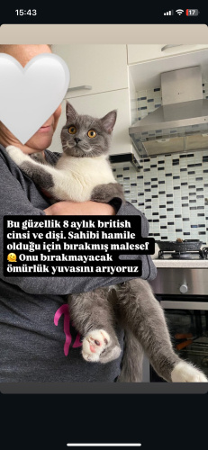 BU YAVRUYA UMUT OLUN fotoğraf