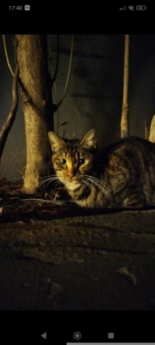 Lütfen ona yuva olun fotoğraf