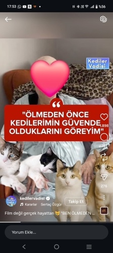 İSTANBULUN GÜZEL İNSANLARI. GÜZİN TEYZENİN SON İSTEĞİ fotoğraf