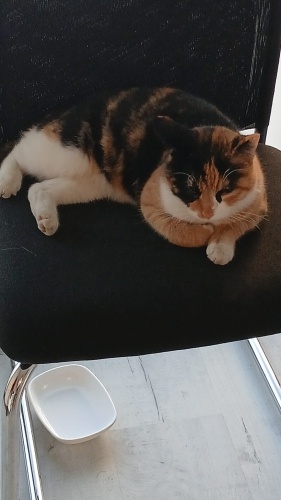 Açıklamayı okuyunuz fotoğraf