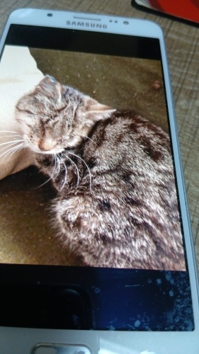 Gözleri görmeyen 6 aylık kıza, acil yuva fotoğraf