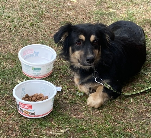 Tokyo sıcak yuvasını bekliyor fotoğraf