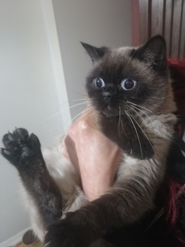 1 yaşında sokağa terkedilen evlada acil yuva fotoğraf